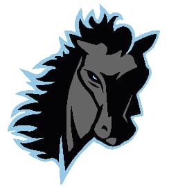 Clovis North HS Football 2025 Fundraiser