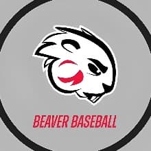 2024 Blackburn College Baseball Fundraiser