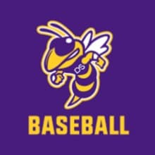 2024 Denham Springs Baseball Fundraiser